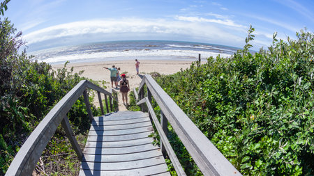 People on beach viewing rural ocean summer tropical  landscape a rear overlooking photograph down walkway steps through vegetation.の写真素材