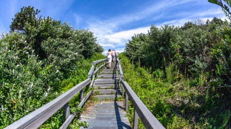 People girls walking home from beach on boardwalk pathway througn tropical vegetation dunes  rural summer tropical  landscape a rear photograph upwards on walkway steps.の写真素材