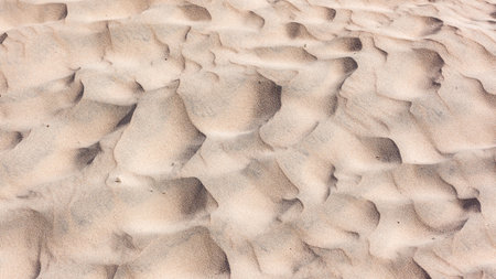 Beach sand close-up detail of wind art contours shapes in natures fine grain  art backgrounds from...