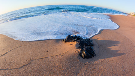 Beach sand waters edge with white water wave wash over black small rocks a morning landscape.の写真素材