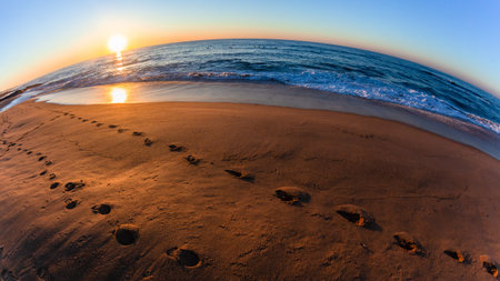Morning beach waters edge footprints in sand with sun rising over curved ocean horizon landscape.の写真素材