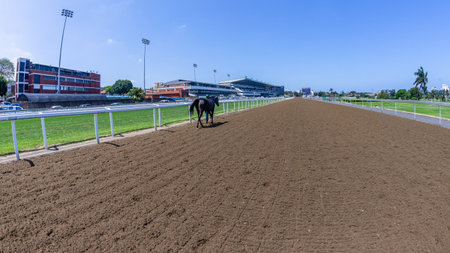 Horse walking back with groom inside racing track standing inside railing on perspective on a clear blue dayの写真素材