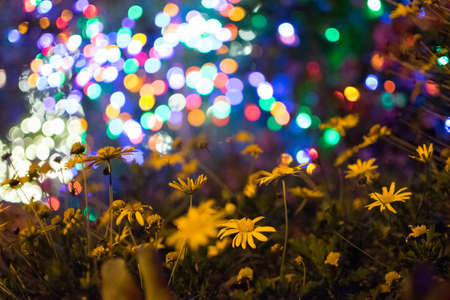 abstract Christmas lightsの写真素材