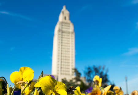 flowers at the Louisiana State Capitolの写真素材