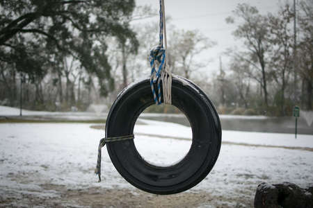 lonely old tire swing waits for winter to end and spring to returnの写真素材