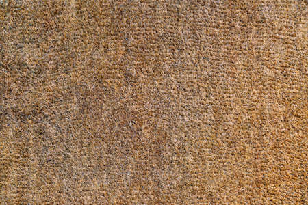 The Texture of an Old and Worn Coir Doormat