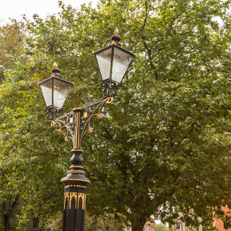 Twin lanp lights at York Minster York UK. 2 lights on a Black and Gold Post with trees behindの写真素材