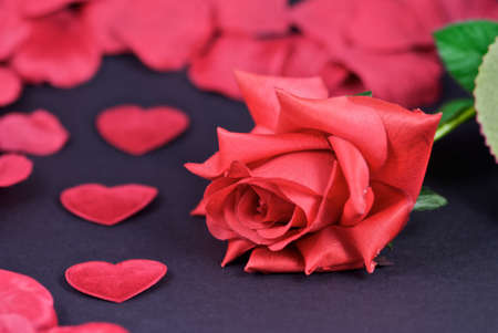 Red rose and hearts surrounded by petals.の写真素材