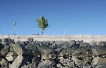 Reflection on waterの写真素材