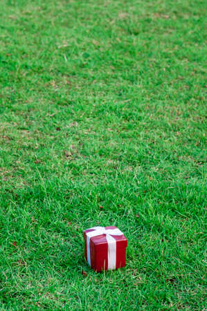 Stand alone gift box on the grass