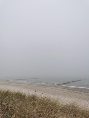 foggy beach at the Baltic Sea in the north of Germany (Heiligendamm)