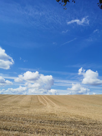 A harvested field with a blue sky in the background in northern Germany between Rostock and Schwaan,...