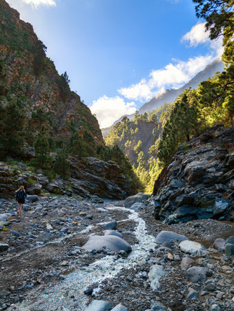 the pristine nature in the gorge of the Caldera de Taburiente National Park on the Canary Island of...