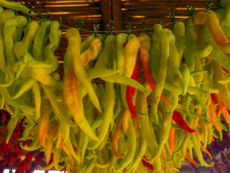 Chili peppers, hung up to dry