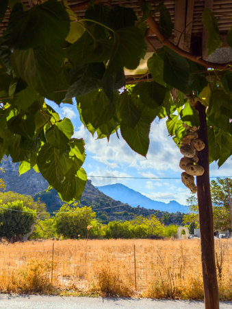 the mountainous countryside of the Greek island of Creteの写真素材