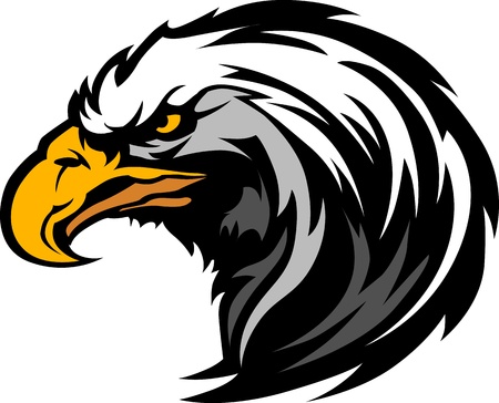 Graphic Head of an Eagle Mascot のイラスト素材