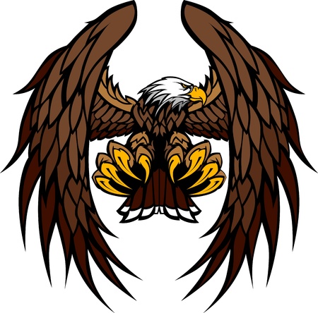 Flying Eagle with Wings and Talons Graphic Mascot Vector Imageのイラスト素材