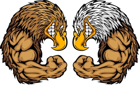 Cartoon Image of a Bald Eagle and Golden Eagle and Flexing Armsのイラスト素材
