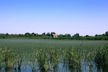 Reed beds and riverの写真素材