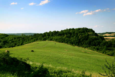 Green hillsの写真素材