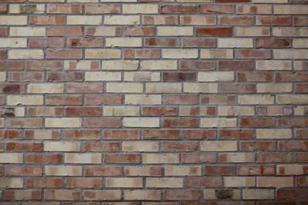 brick wall mixed colorの写真素材