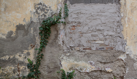old wall textureの写真素材