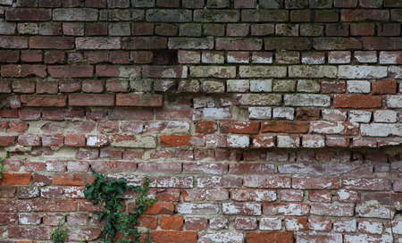 Brick Wall Textureの写真素材