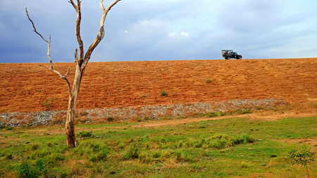 Landscape with 4x4 and dry tree on the red soil. Yala National Park, Sri Lanka.