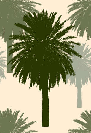 Silhouettes of the tropical palm treesのイラスト素材