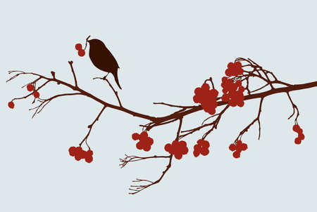 The sparrows on the rowan treeのイラスト素材