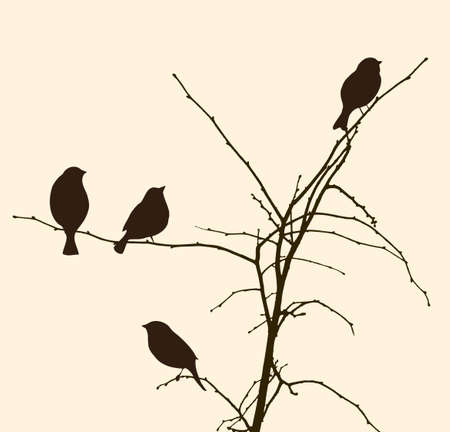 The sparrows on the tree branchesのイラスト素材