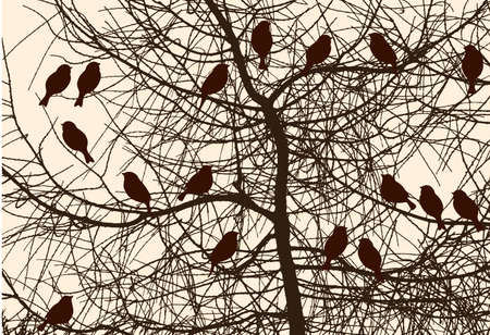 A flock of the sparrows on the tree branchesのイラスト素材