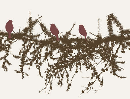 The sparrows on the pine branchのイラスト素材