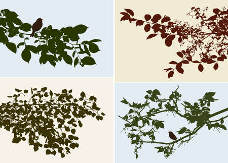 The branches of the different deciduous trees.のイラスト素材