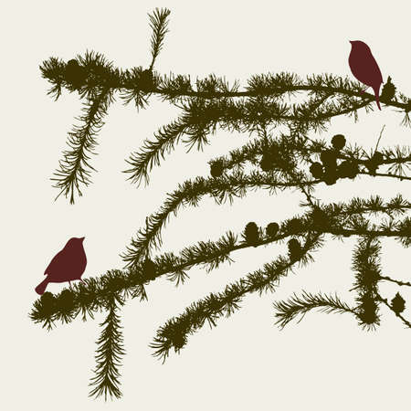 The sparrows on the fiR branches.のイラスト素材