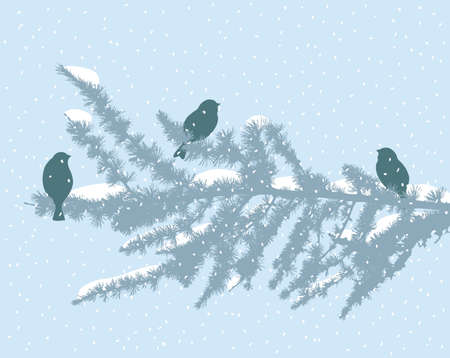 The birds on the spruce branch in the winter snowy day.のイラスト素材