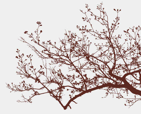 Branch of a tree in springのイラスト素材