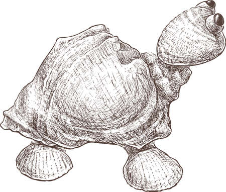The toy turtle from the seashellsのイラスト素材