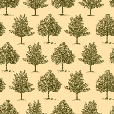 Pattern of the different deciduous treesのイラスト素材
