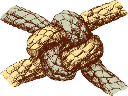 Vector drawing of a sea knotのイラスト素材