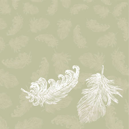 Vector background of the birds feathersのイラスト素材