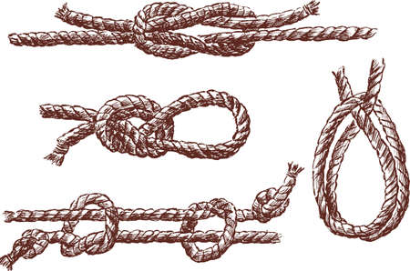 Vector image of the ropes in the different knotsのイラスト素材
