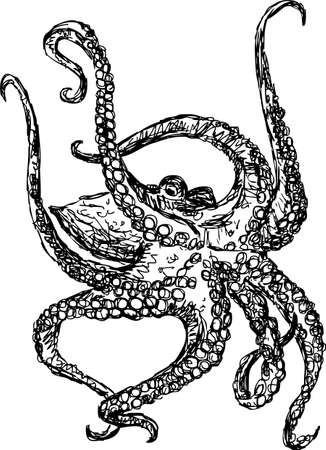 Vector drawing of a sea octopusのイラスト素材