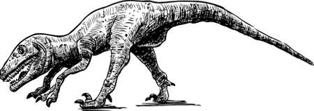 Sketch of an ancient tyrannosaurus.のイラスト素材