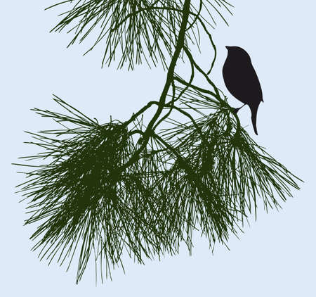 Bird is sitting on a pine twigのイラスト素材