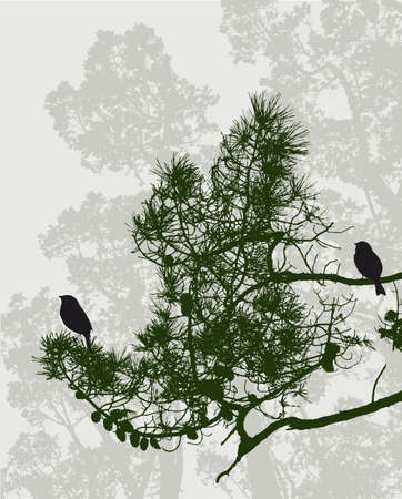 Birds in the pine forestのイラスト素材