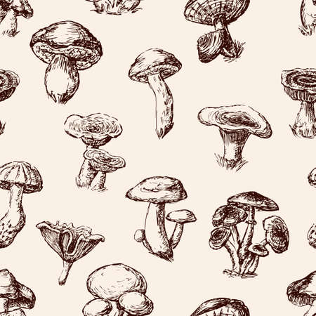 Seamless background of the edible mushroomsのイラスト素材