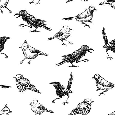 Pattern of the sketches of different wild birds Vector illustration.のイラスト素材