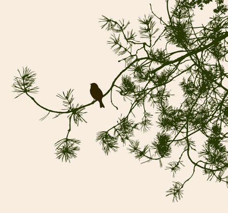 A bird on a pine branch. Vector illustrationのイラスト素材