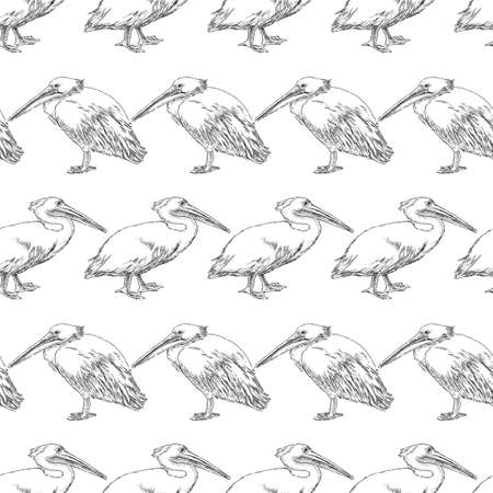 Seamless background of sketches of pelicansのイラスト素材